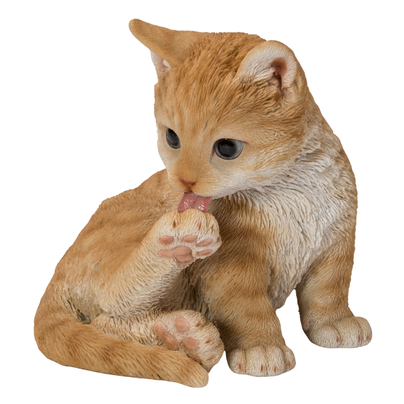 後ろ足をなめる茶トラ猫