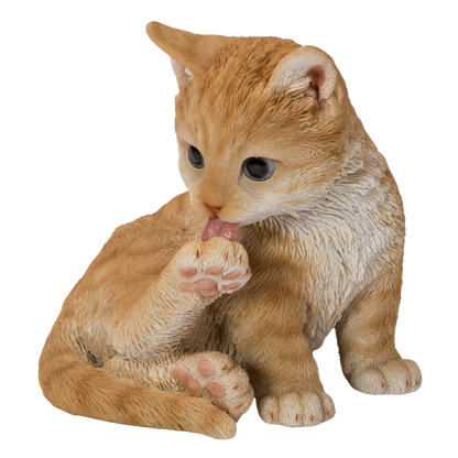 後ろ足をなめる茶トラ猫