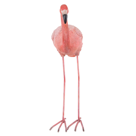 フラミンゴ