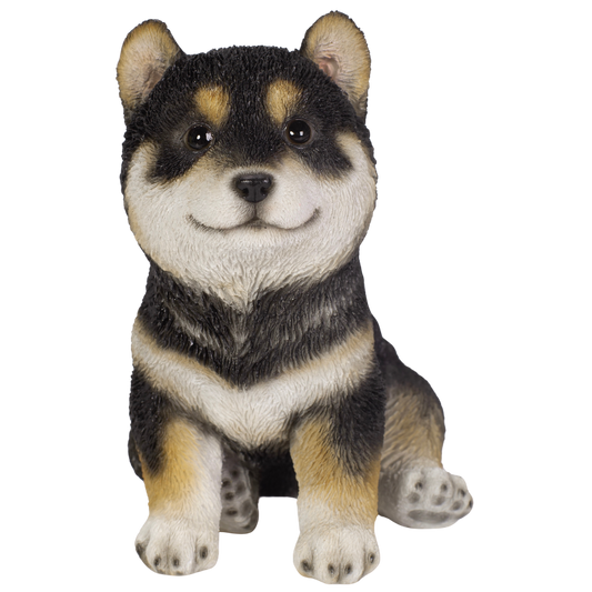 黒柴の子犬（小）