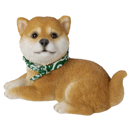 横座り豆柴犬