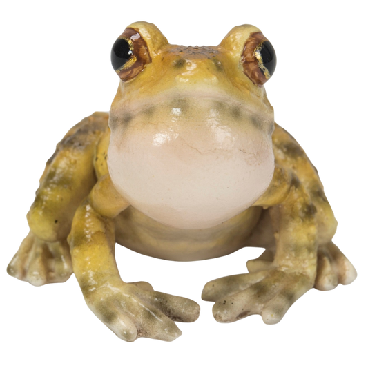 喉を膨らますニホンアマガエルのマグネット