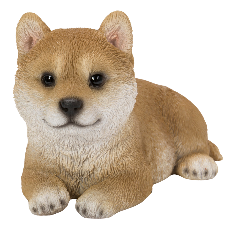 リラックス子柴犬