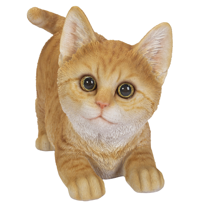 遊ぶ茶トラ猫|WooBia公式オンラインショップ – WooBia(ウービア 遊ぶ茶トラ猫|WooBia公式オンラインショップ – WooBia(ウービア