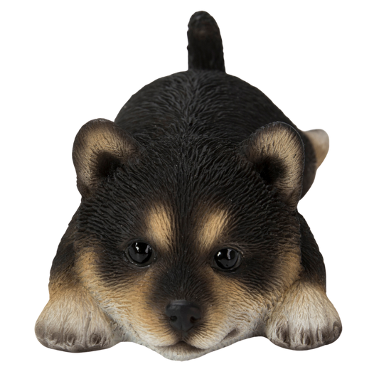 うつぶせ黒柴犬マグネット