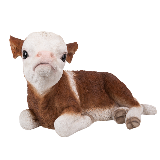 寝そべった子牛