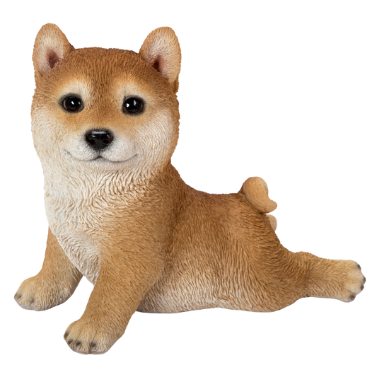 ストレッチ柴犬