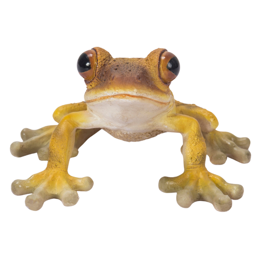 小さな緑のカエル
