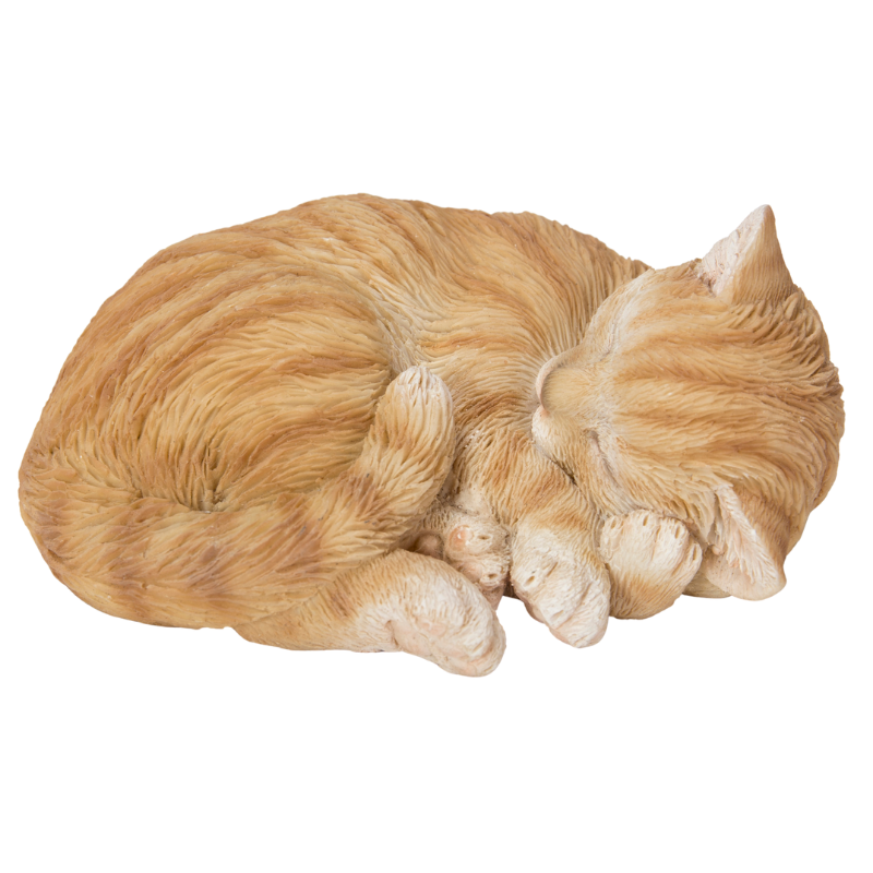 すやすや~茶トラ猫|WooBia公式オンラインショップ – WooBia すやすや~茶トラ猫|WooBia公式オンラインショップ – WooBia