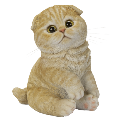 スコ座りスコティッシュフォールドたれ耳茶トラ|WooBia公式オンライン スコ座りスコティッシュフォールドたれ耳茶トラ|WooBia公式オンライン