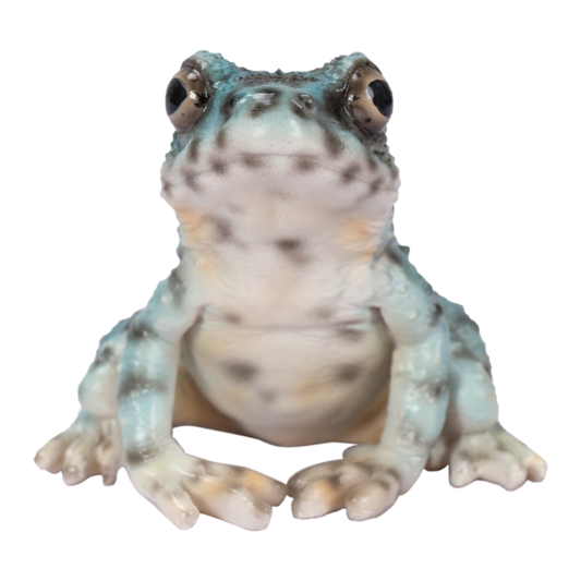 イシカワガエル マグネット ブルー