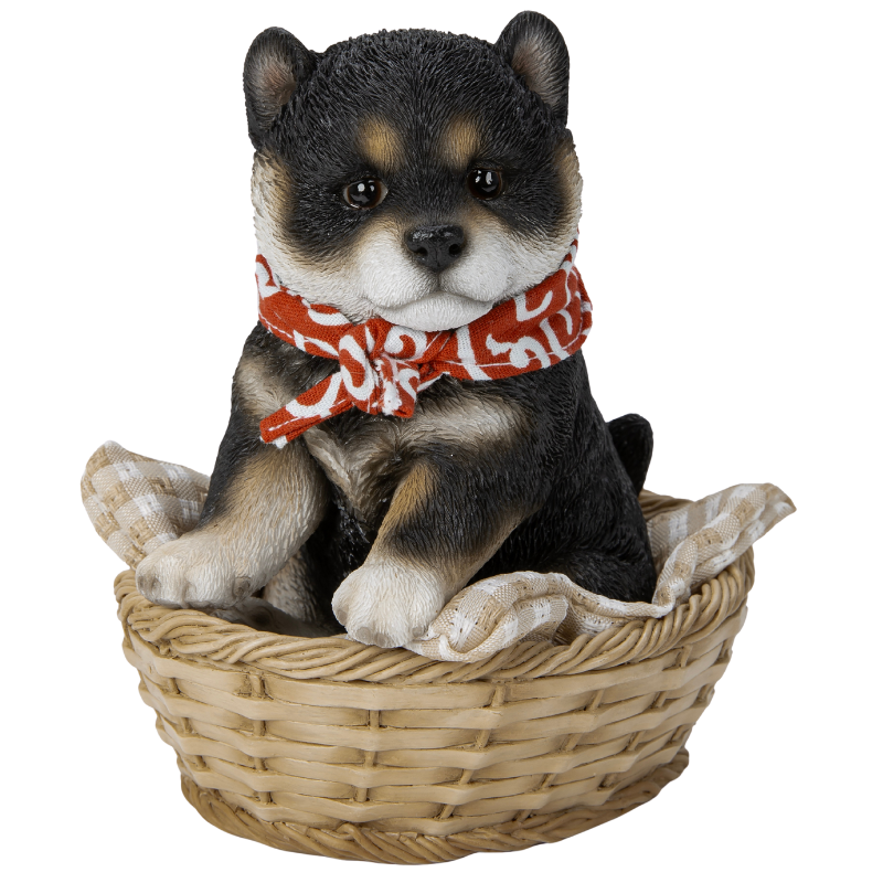 竹かご豆黒柴犬
