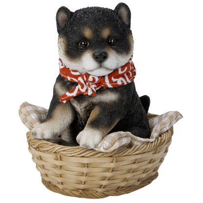 竹かご豆黒柴犬