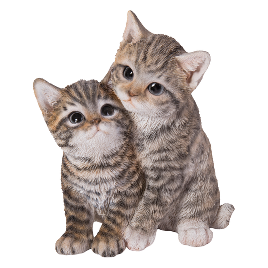 寄り添うサバトラ猫