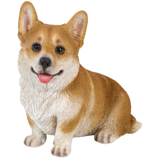 お座りウェルシュコーギー