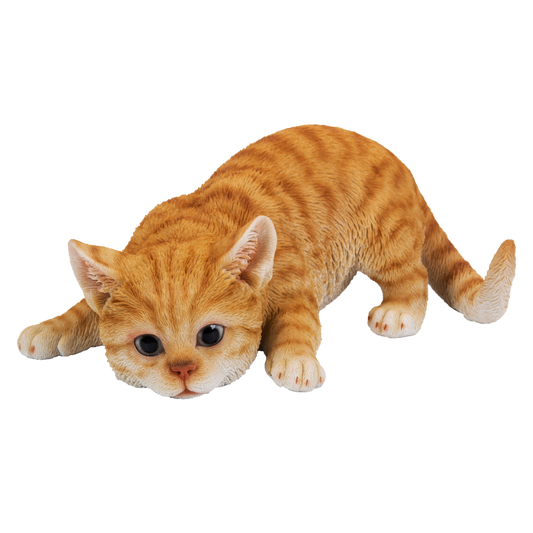 獲物発見　茶トラ猫