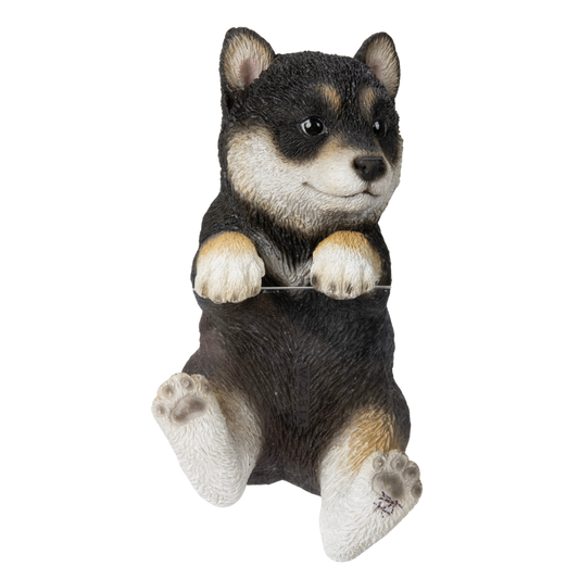 縁飾り 黒柴の子犬