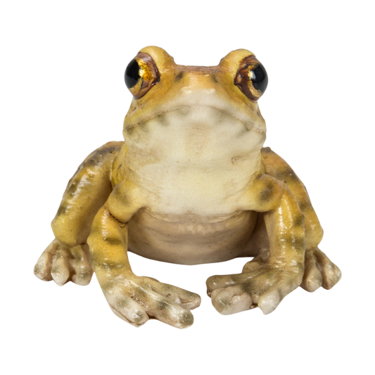 ニホンアマガエル クリップホルダー