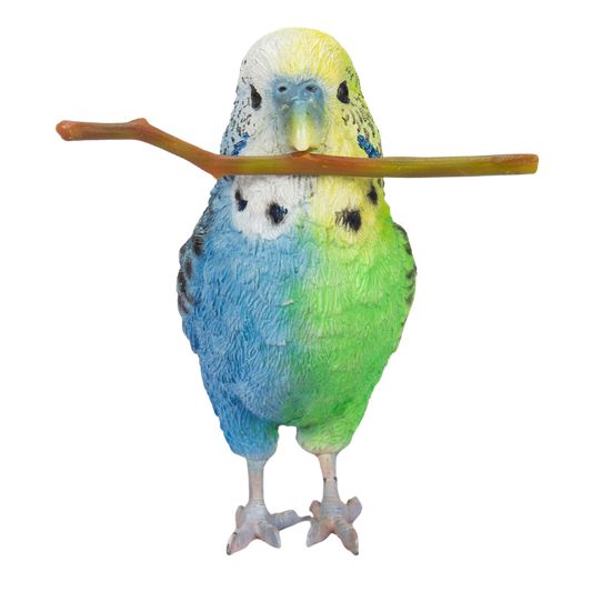 青緑セキセイインコ