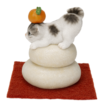 鏡餅飾り サバトラ猫