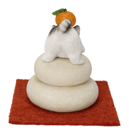 鏡餅飾り サバトラ猫