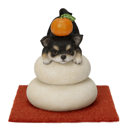 鏡餅飾り チワワ ブラック
