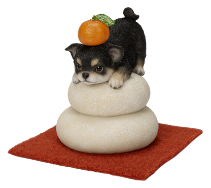 鏡餅飾り チワワ ブラック