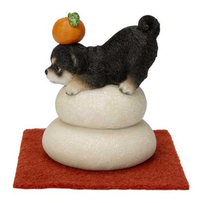 鏡餅飾り チワワ ブラック