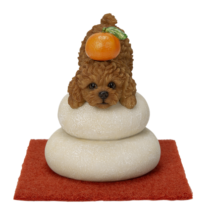 鏡餅飾り トイプードル レッド