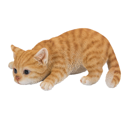 獲物発見　茶トラ猫