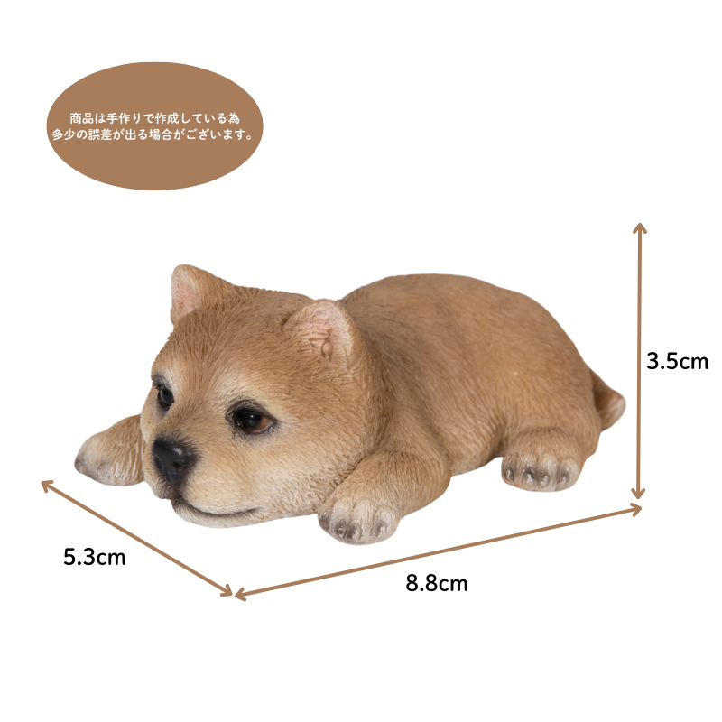サクラ02(2418) 走帆荘 - 柴犬子犬