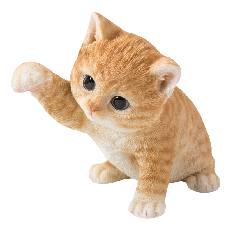 猫パンチ茶トラ猫