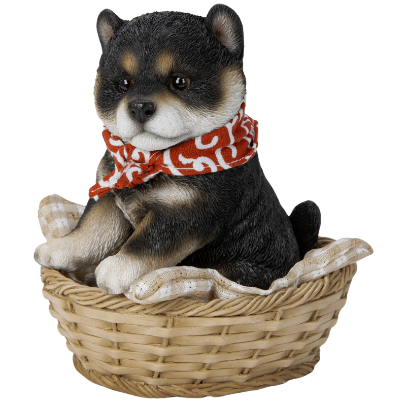 竹かご豆黒柴犬