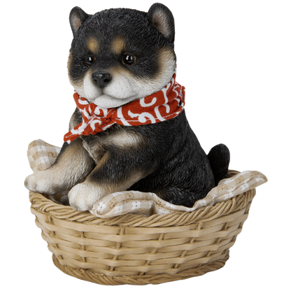 竹かご豆黒柴犬