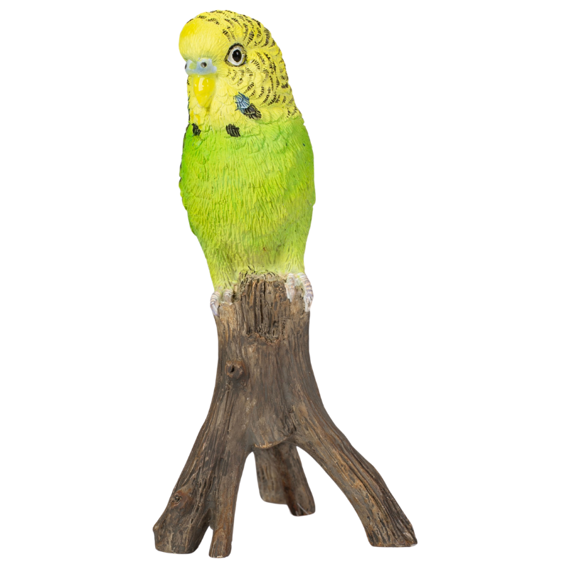 お客様専用約1/2サイズコザクラインコ | TinyBooBoo
