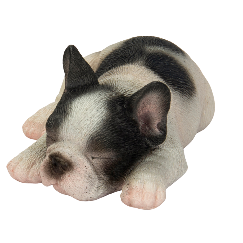 うつ伏せで寝ている犬[02322004429]の写真・イラスト素材