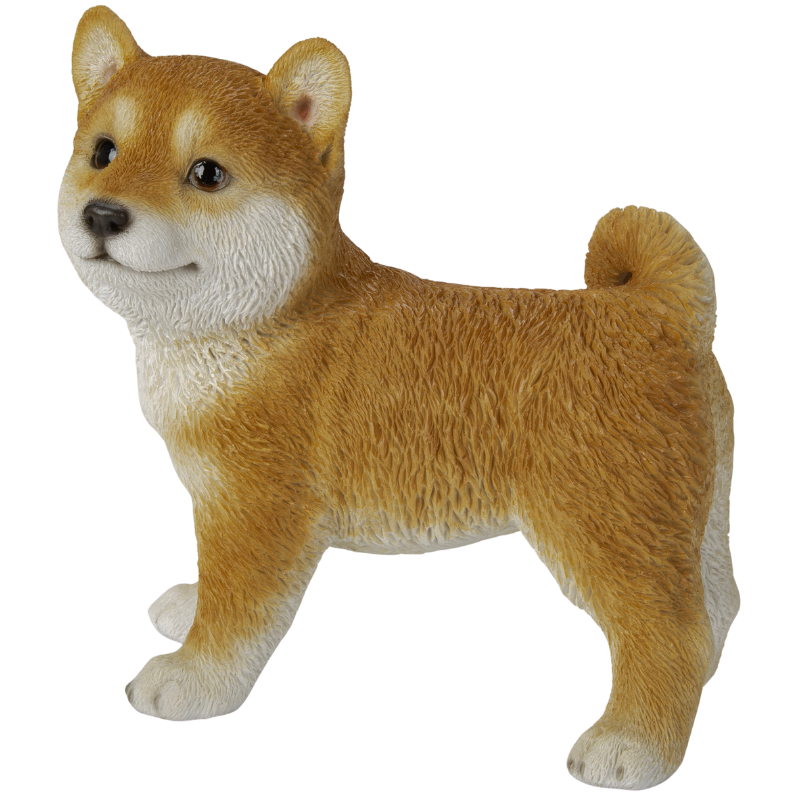 横向き柴犬