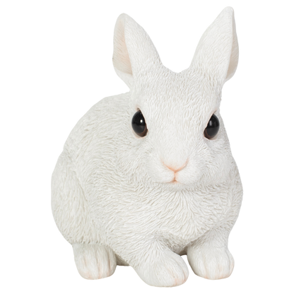 しゃがむ白ウサギ