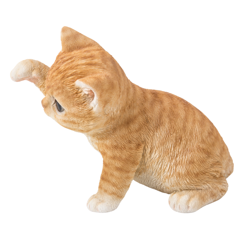 猫パンチ茶トラ猫