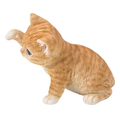 猫パンチ茶トラ猫