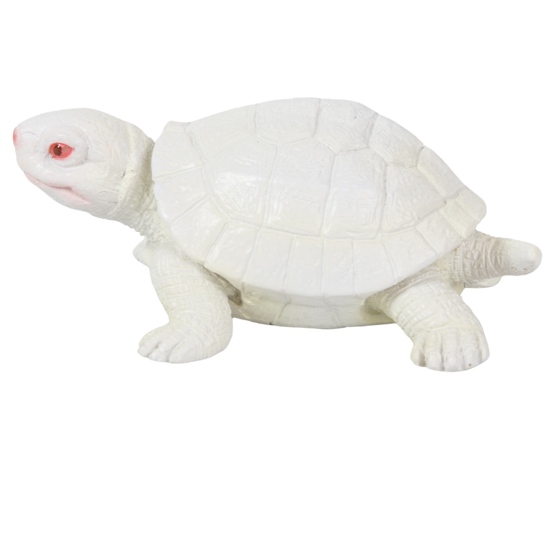 カメの文鎮マグネット 白