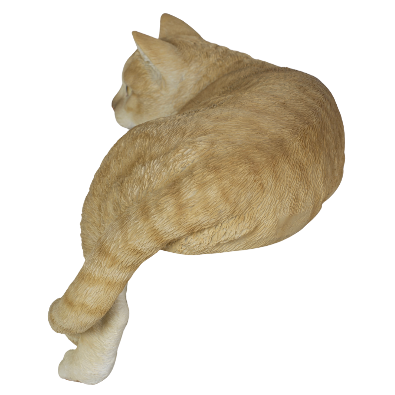 横たわるダークビスケット猫