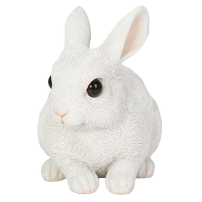 しゃがむ白ウサギ