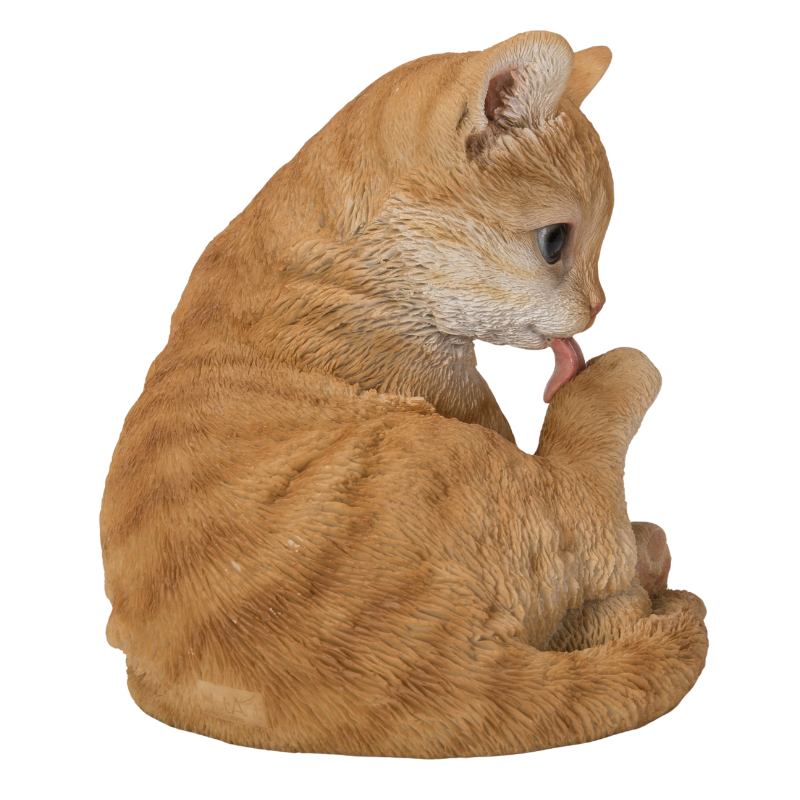 後ろ足をなめる茶トラ猫