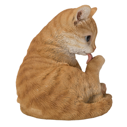 後ろ足をなめる茶トラ猫