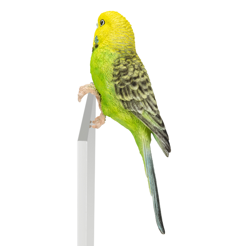 縁飾り 黄緑セキセイインコ｜WooBia公式オンラインショップ
