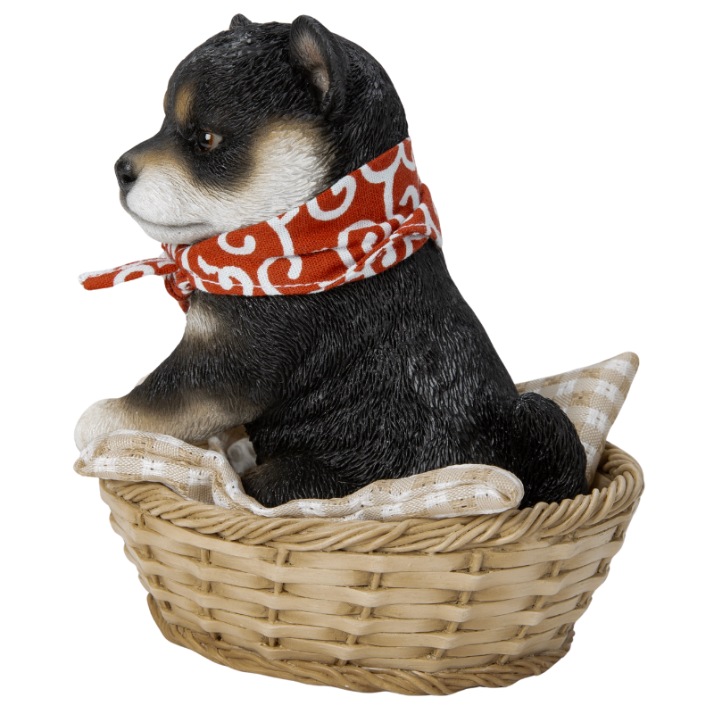 竹かご豆黒柴犬