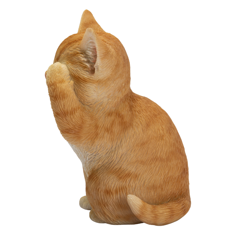 見ざる茶トラ猫