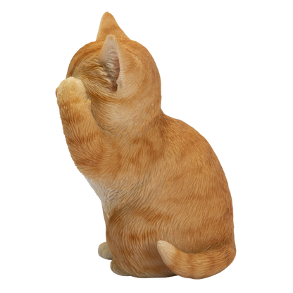 見ざる茶トラ猫