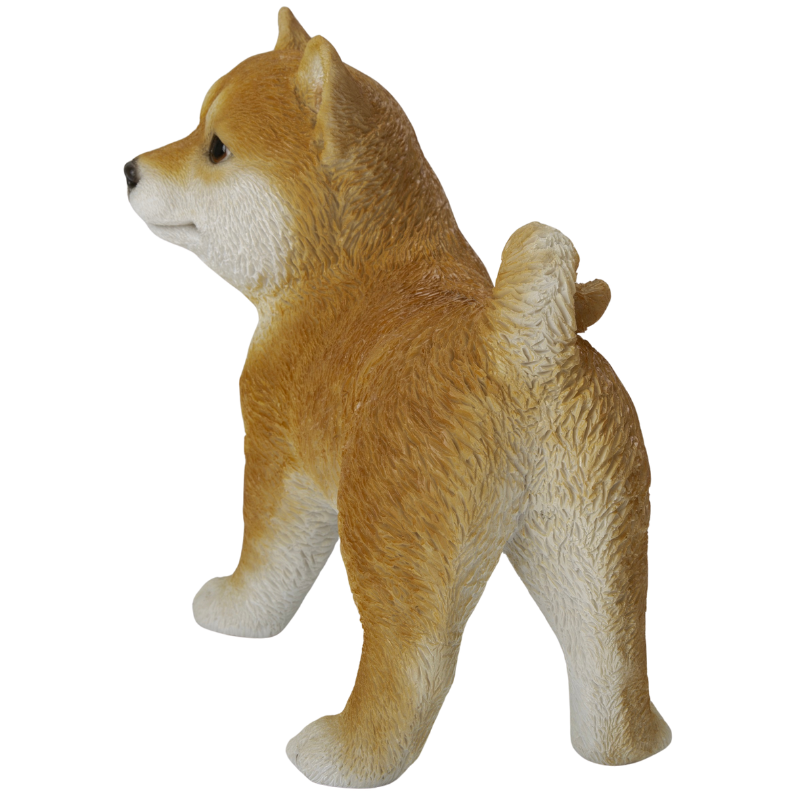 横向き柴犬